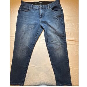 ana A New Approach Womens 22W Mid-Rise Skinny Jeans Blue Medium Wash Denim